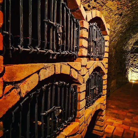 Boutique Wine Rezidence 3* نانيتسيه